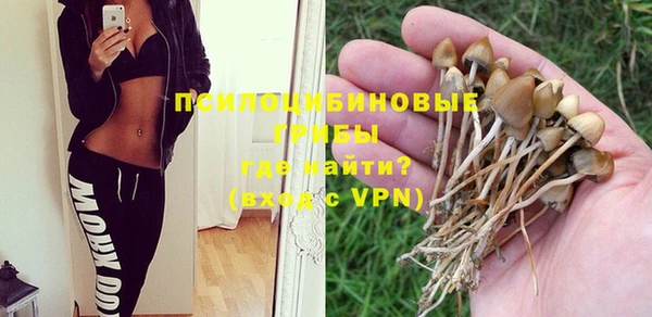 эйфоретик Алексин
