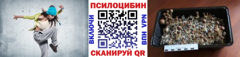 купить   Старый Оскол  Галлюциногенные грибы MAGIC MUSHROOMS 